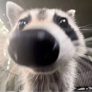 Meet your Posher, Jack